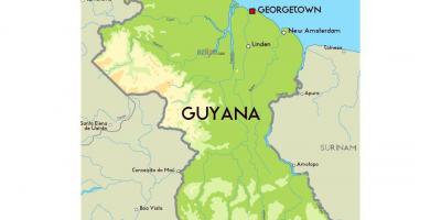 Mapa bat Guyana